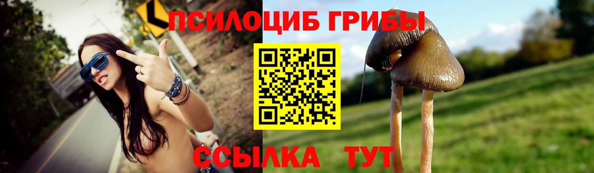 Галлюциногенные грибы Psilocybine cubensis  Вход с VPN  Искитим 